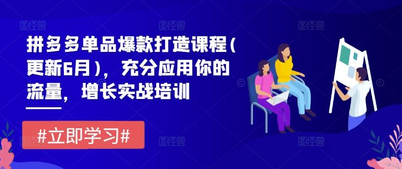 拼多多单品爆款打造课程(更新6月)，充分应用你的流量，增长实战培训-阿良资源网